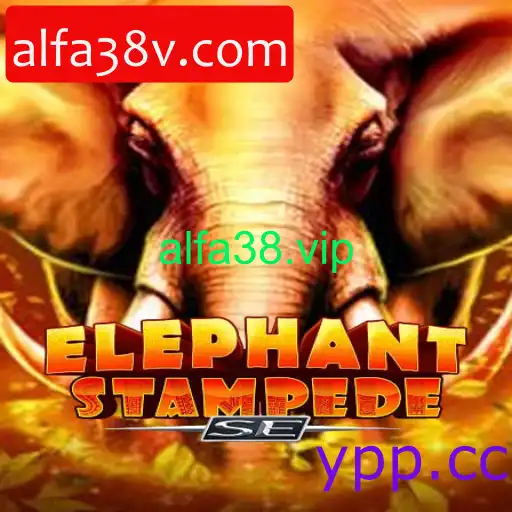 ElephantStampedeSE
